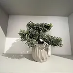 C & A *
